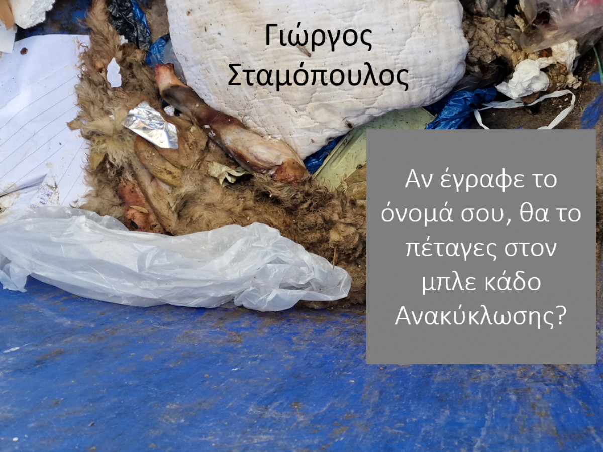 Ζωικά απόβλητα στους μπλε κάδους ανακύκλωσης